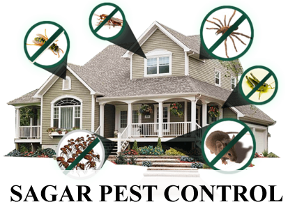 Sagar Pest Control